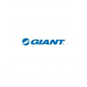 giant logo