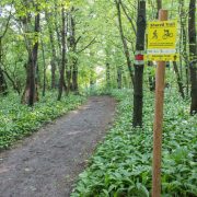 160507_AN_Shared Trails-15