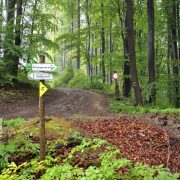 160508_FW_Shared Trails-05
