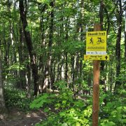 160508_FW_Shared Trails-10