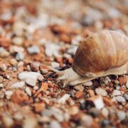 170408_Saubergtrail_Tag1_MW_klein_026