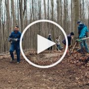 2016_03_15 Newletter Impression Button 560px