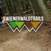 2016_07_06 Newsletter Opening 560px