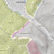 Augustinerwald-Trail