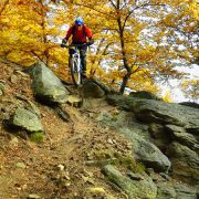 P1020583_Oliver_Lorenz_square450