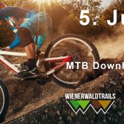 Titelbild_DH_Worldcup