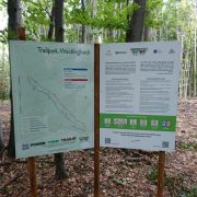 IMG-20160715-WA0006-2