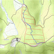 nl-durchforstung-suedtiroler