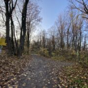 Hameau – Einstieg Wurzel-Trail